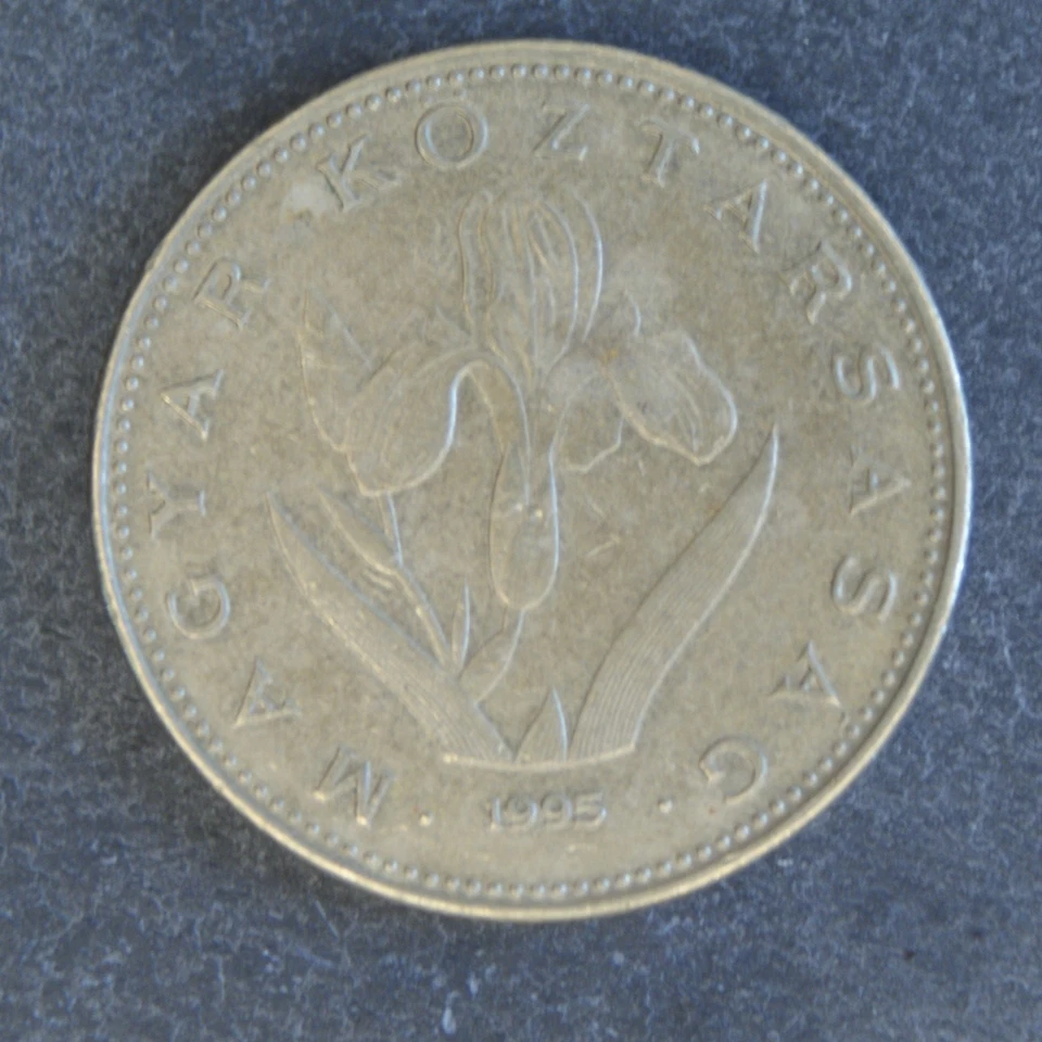 1995 20 Forint Coin Hungary
